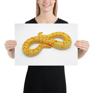Kenyan Sand Boa Print